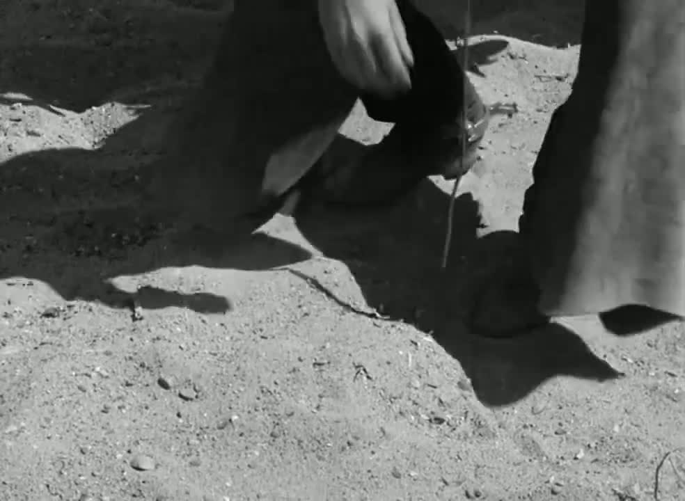 S01E19 Incident Of The Dry Drive