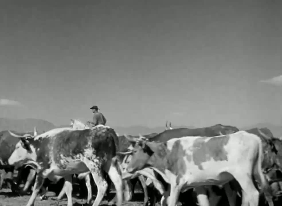 S01E22 Incident Of A Burst Of Evil