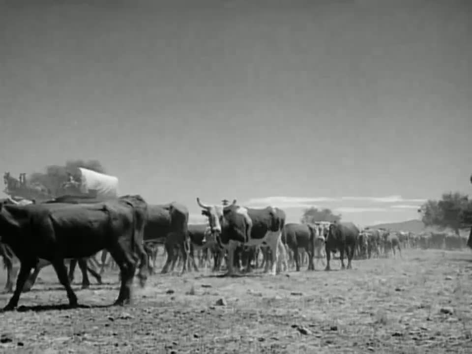 S01E06 Incident Of The Power And The Plow