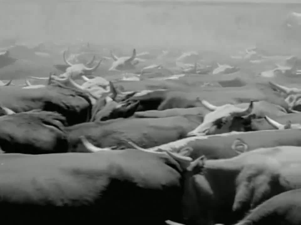 S01E07 Incident At Barker Springs